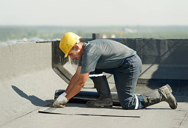 Best Commercial Insulation in Mansfield, MO