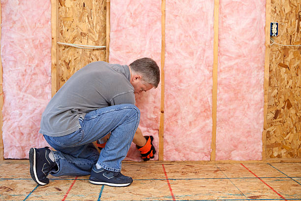 Best Insulation Maintenance and Repair in Mansfield, MO
