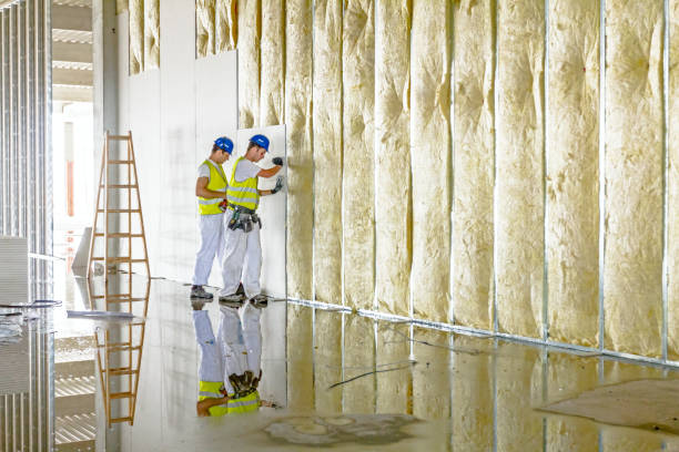 Best Insulation Materials and Products in Mansfield, MO